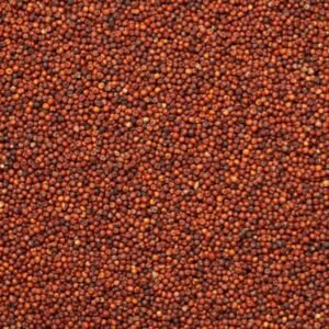 Alternative view of Ragi Multigrain Flour