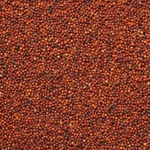 Alternative view of Ragi Multigrain Flour