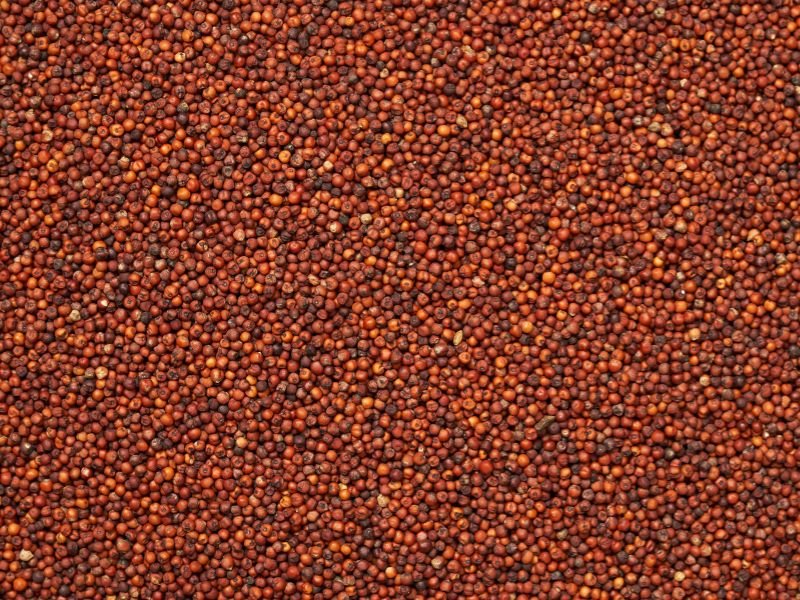 Ragi Multigrain Flour - Image 2